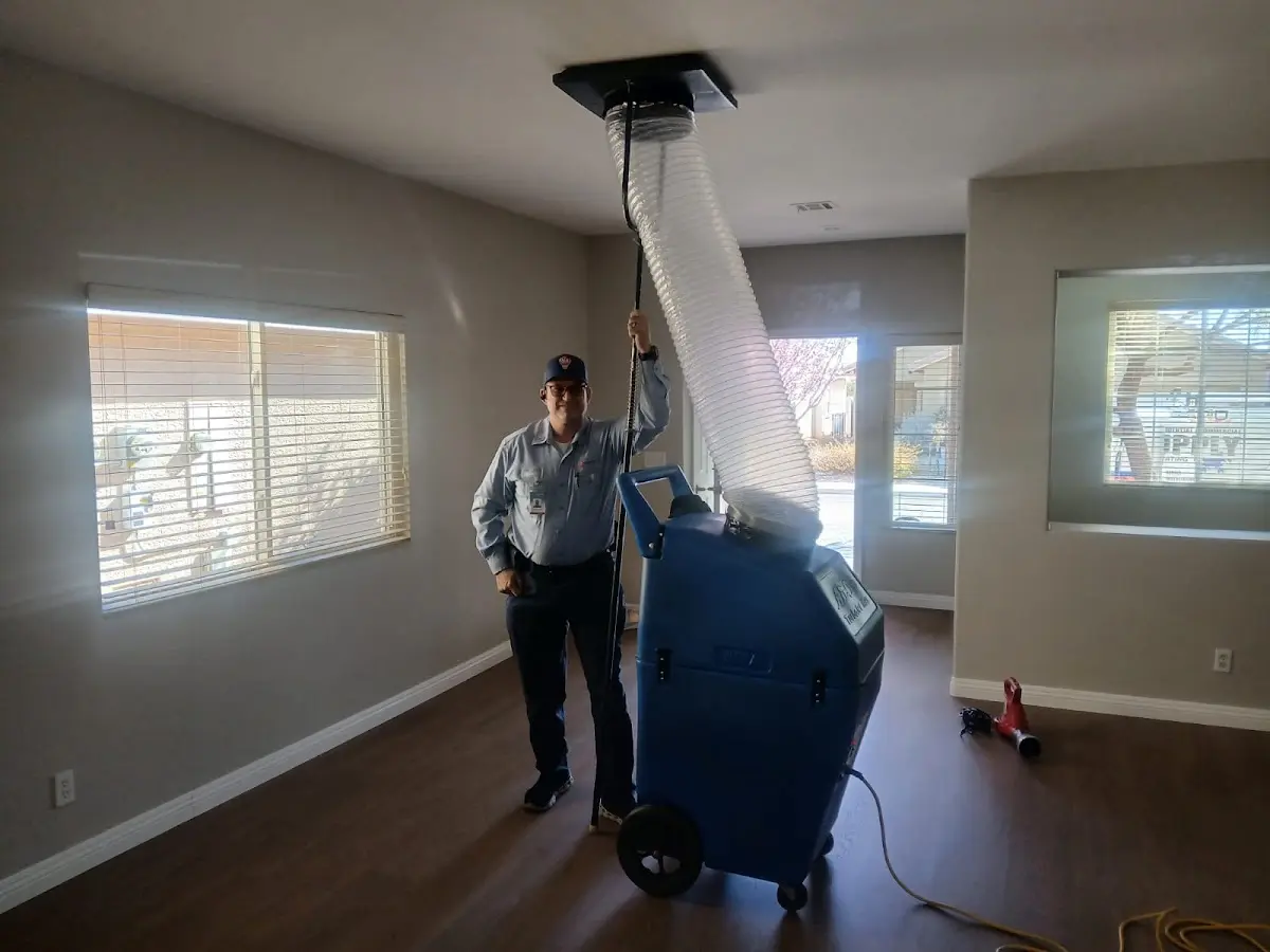 Professional Dryer Vent Cleaning work inside a Largo home